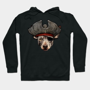 Funny Pirate Hairless Terrier Dog Hoodie